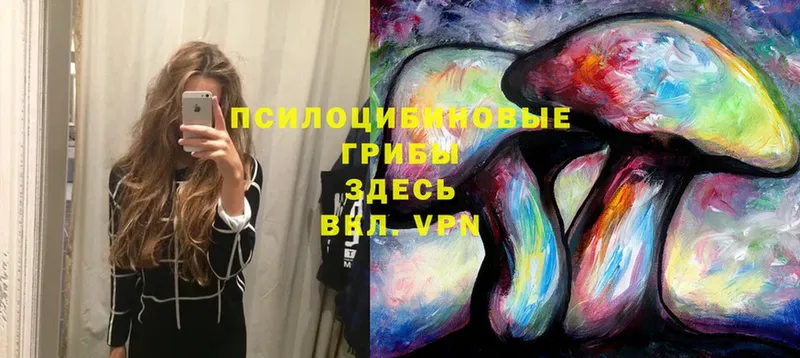 Галлюциногенные грибы Psilocybe  цены   Дегтярск 